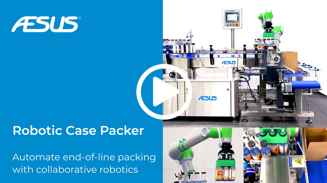 Imagen del robot empacador PEI 26